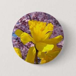 Yellow Daffodil Flower buttons Spring Blossoms