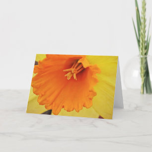 Yellow Daffodil Flower Close Up Note Card