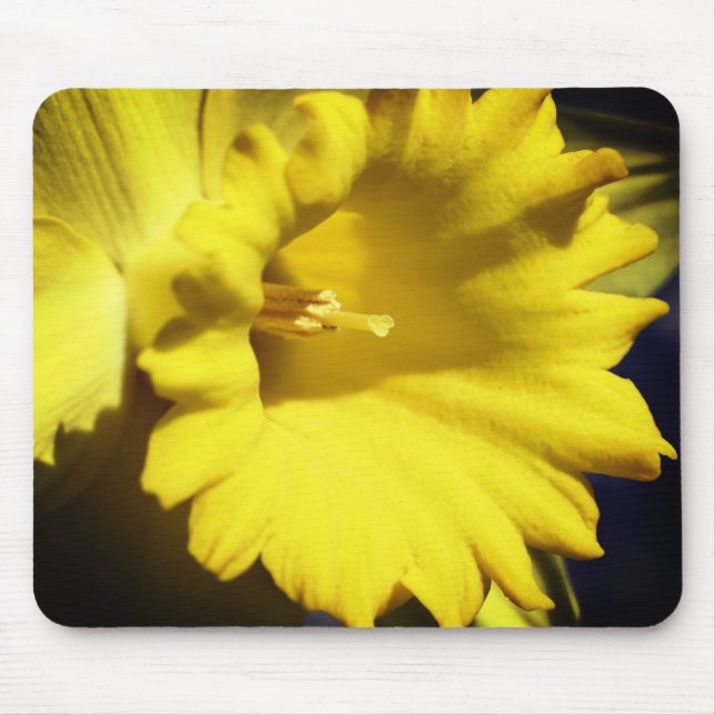 Yellow Daffodil Flower  Mouse Pad (Front)