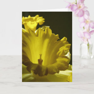 Yellow Daffodil Flowers Card