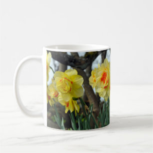 Yellow daffodil flowers coffee mug