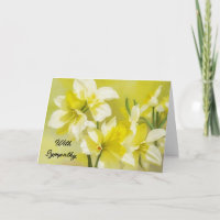 Yellow Daffodil Flowers Flower Art Sympathy Card