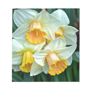 Yellow daffodil flowers notepad