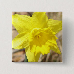 Yellow Daffodil Flowers Square Pin
