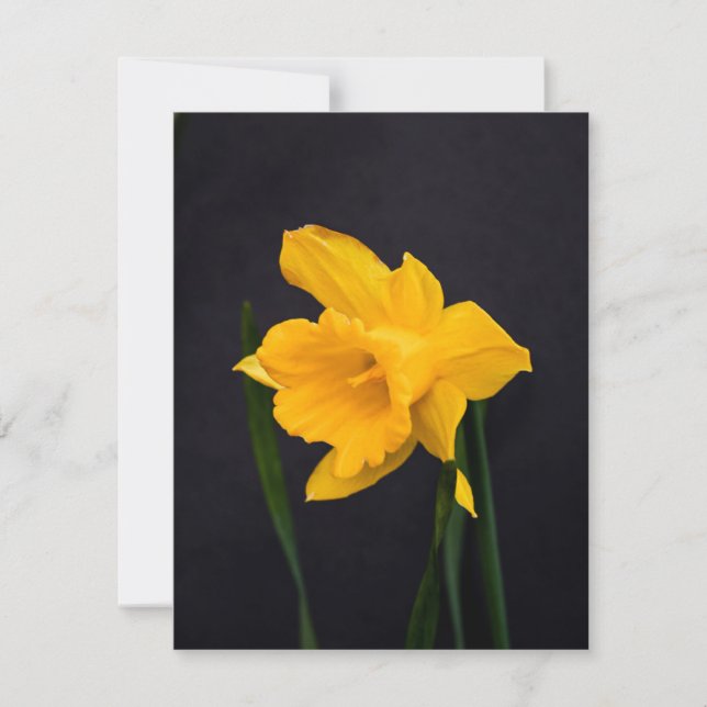 Yellow Daffodil Holiday Card (Front)