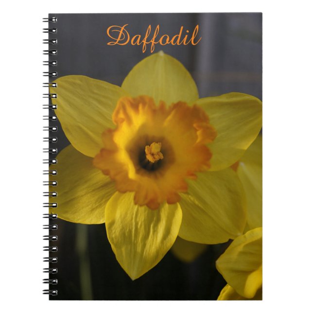Yellow Daffodil Notebook (Front)