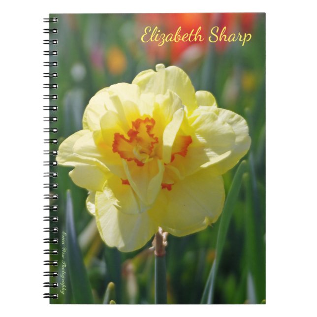 Yellow Daffodil Notebook (Front)