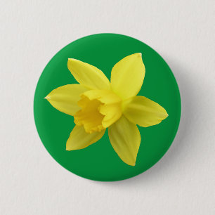Yellow Daffodil on Green 2 Inch Round Button