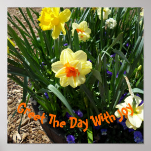 Yellow Daffodil Poster