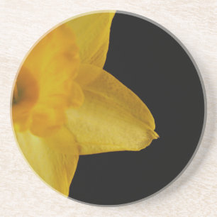 Yellow Daffodil Sandstone Coaster