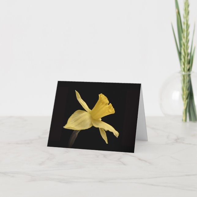 Yellow Daffodil Thank You Card (Front)