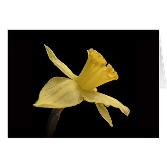 Yellow Daffodil Thank You Card
