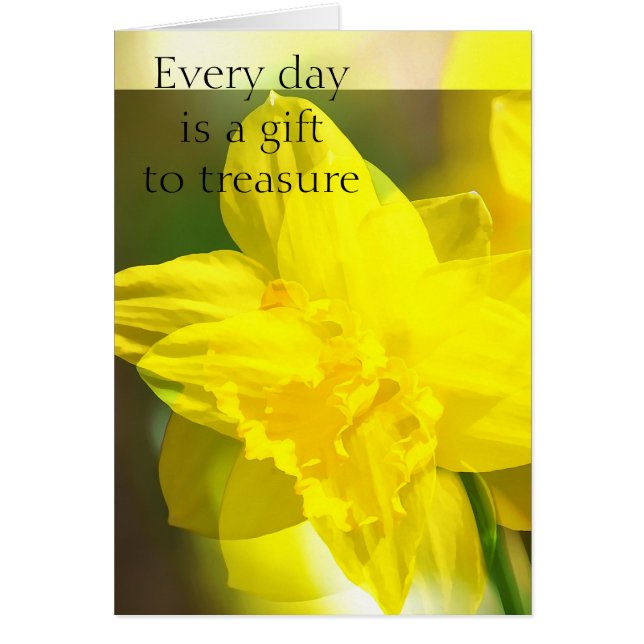 Yellow Daffodils Abstract (Front)