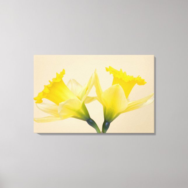 Yellow daffodils canvas print (Front)
