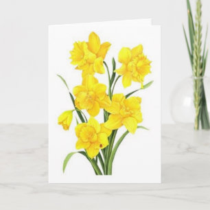 Yellow daffodils card