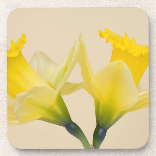 Yellow daffodils coaster (Front)