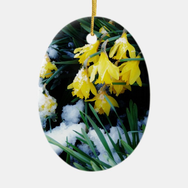 Yellow Daffodils flowers in the snow Ceramic Ornament (Front)