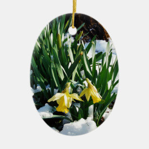 Yellow Daffodils flowers in the snow Ceramic Ornament