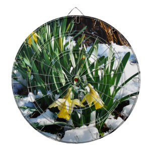 Yellow Daffodils flowers in the snow Dartboard