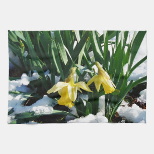 Yellow Daffodils flowers in the snow Kitchen Towel