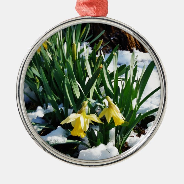 Yellow Daffodils flowers in the snow Metal Ornament (Front)