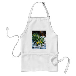 Yellow Daffodils flowers in the snow Standard Apron