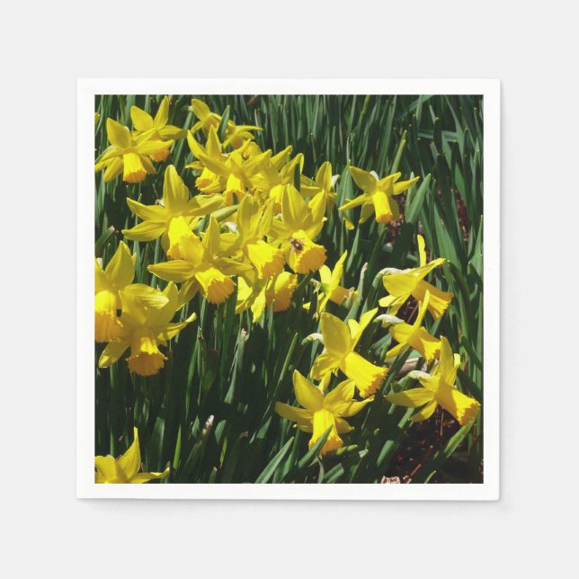 Yellow Daffodils I Cheery Spring Flowers Napkin (Front)