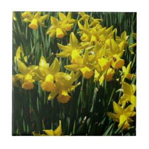 Yellow Daffodils I Cheery Spring Flowers Tile