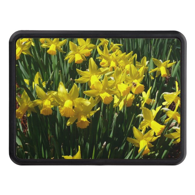 Yellow Daffodils I Cheery Spring Flowers Trailer Hitch Cover (Front)