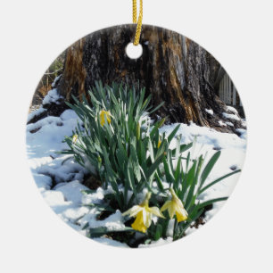 Yellow Daffodils in the snow Ceramic Ornament