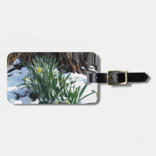 Yellow Daffodils in the snow Luggage Tag