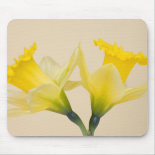 Yellow daffodils mouse pad