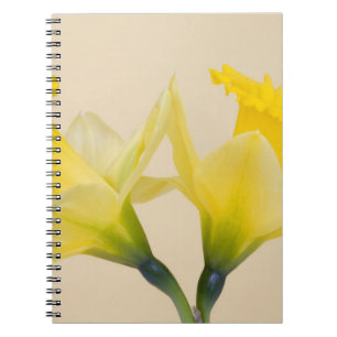 Yellow daffodils notebook