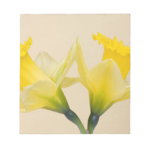 Yellow daffodils notepad
