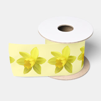 Yellow Daffodils on Cream Background Satin Ribbon
