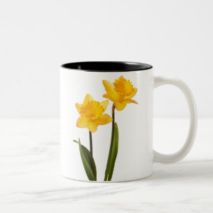 Yellow Daffodils on White - Daffodil Flower Blank Two-Tone Coffee Mug
