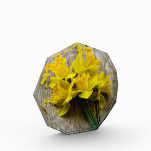 Yellow Daffodils Photo Block