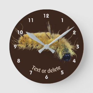 Yellow Dagger Moth Caterpillar Personalized Round Clock