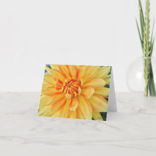 Yellow dahlia, close up thank you card