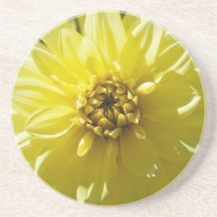 Yellow Dahlia Coaster