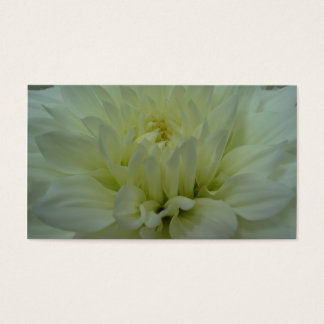 Yellow Dahlia Flower
