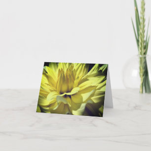 Yellow Dahlia Flower Petals Photography Note Card
