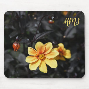 Yellow Dahlia Flowers Wisley Gardens Monongram Mouse Pad