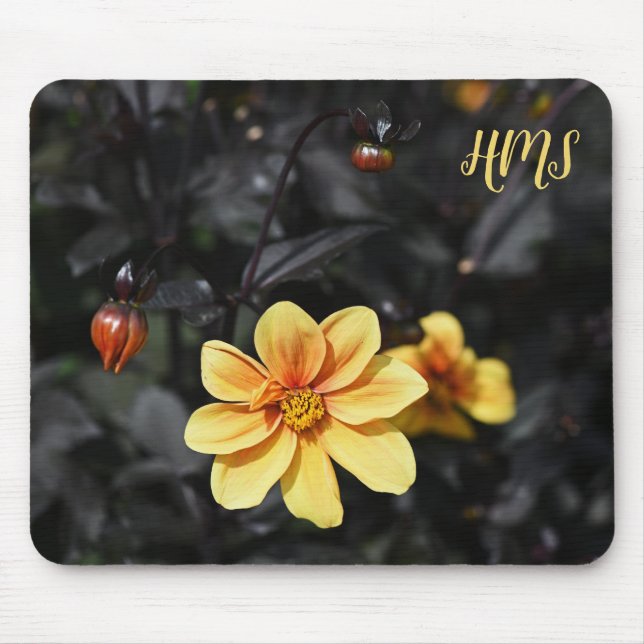 Yellow Dahlia Flowers Wisley Gardens Monongram Mouse Pad (Front)