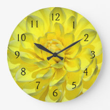 Yellow Dahlia