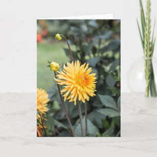Yellow Dahlia  Note  Card