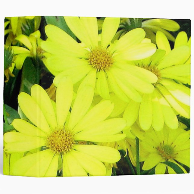 Yellow Daisies Binder (Front/Spine)