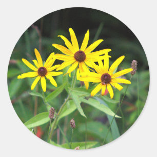 Yellow Daisies Photo Stickers