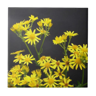 Yellow Daisies Tile