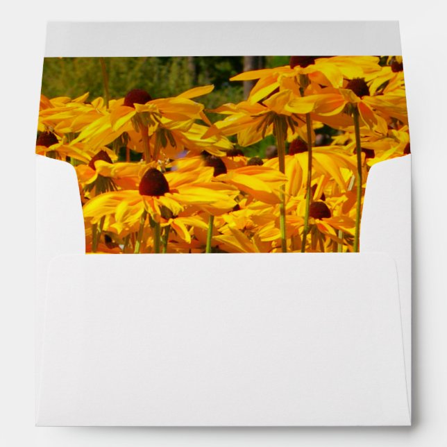 Yellow daisies, your return address, greeting card envelope (Back (Bottom))